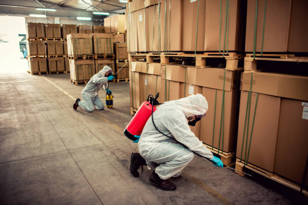 Best Ant Control Services  in Yulee, FL