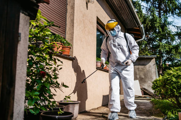 Best Pest Removal Services  in Yulee, FL