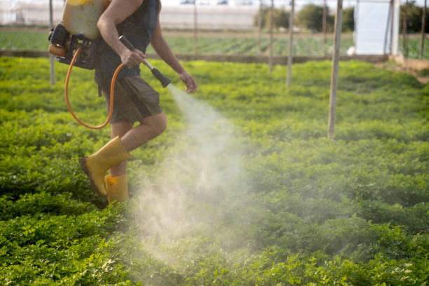 Best Affordable Pest Control Services  in Yulee, FL