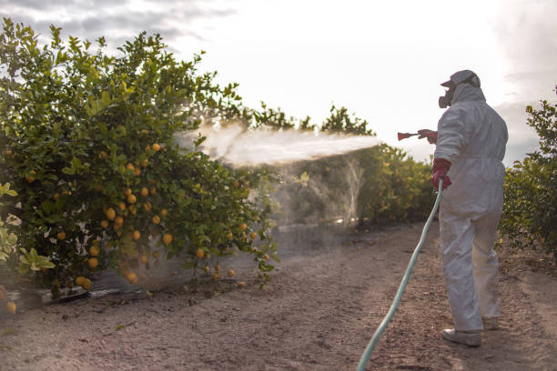 Best Emergency Pest Control  in Yulee, FL