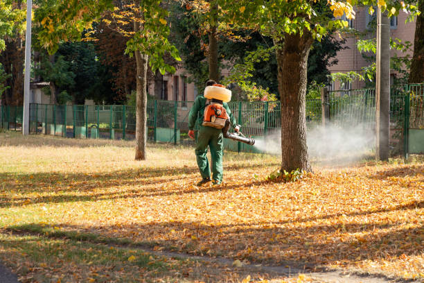 Best Termite Control Services  in Yulee, FL