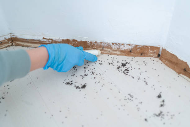 Best Residential Pest Control  in Yulee, FL